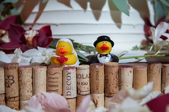 Michele & Brian 102018-1067